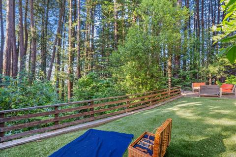 405 Marion Ave, Mill Valley, CA 94941 photo 31