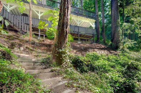 54 Hazel Ave, Mill Valley, CA 94941 photo 41