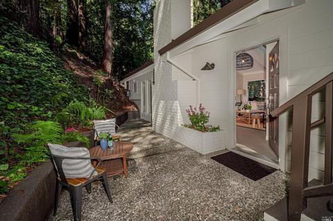 54 Hazel Ave, Mill Valley, CA 94941 photo 5