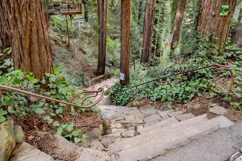 54 Hazel Ave, Mill Valley, CA 94941 photo 42