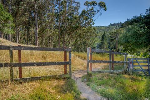 54 Hazel Ave, Mill Valley, CA 94941 photo 48