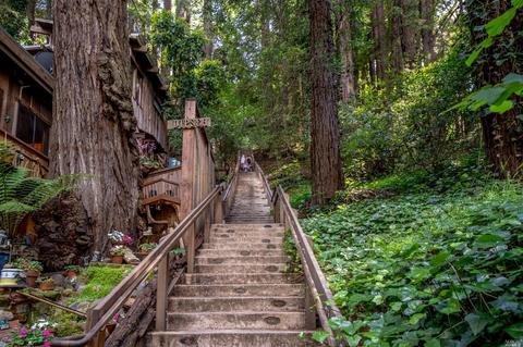 54 Hazel Ave, Mill Valley, CA 94941 photo 47