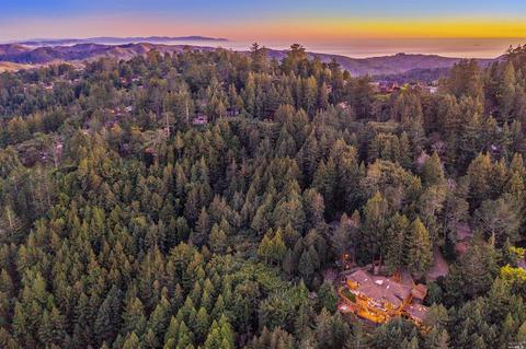 820 Edgewood Ave, Mill Valley, CA 94941 photo 33