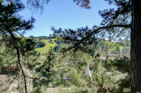2083 Ascot Dr #231, Moraga, CA 94556 photo 18
