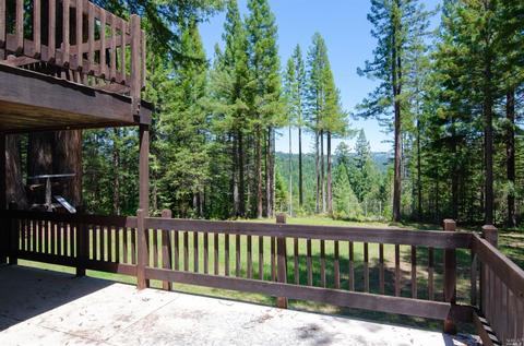 41500 Buckeye Creek Rd, Annapolis, CA 95412 photo 15