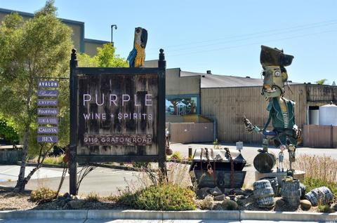8661 Jeannette Ave, Sebastopol, CA 95472 photo 21