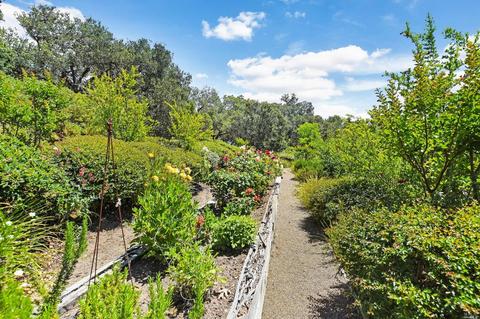 2046-2050 Hale Rd, Sonoma, CA 95476 photo 31