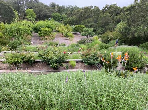 2046-2050 Hale Rd, Sonoma, CA 95476 photo 20
