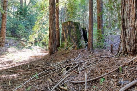 5481 Bear Canyon Rd, Willits, CA 95490 photo 28