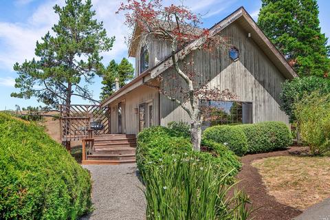 6000 Burnside Rd, Sebastopol, CA 95472 photo 32