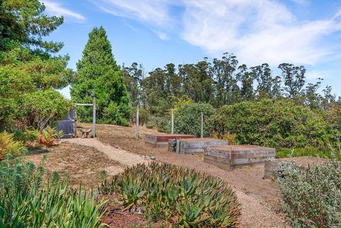 6000 Burnside Rd, Sebastopol, CA 95472 photo 44