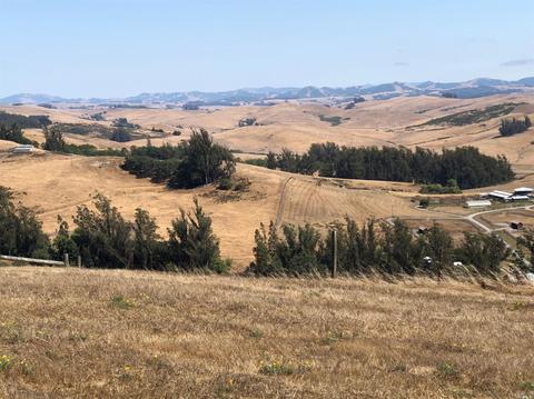 6000 Burnside Rd, Sebastopol, CA 95472 photo 50
