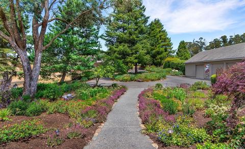 6000 Burnside Rd, Sebastopol, CA 95472 photo 29