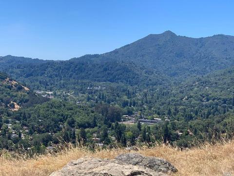 30 Tomahawk Dr, San Anselmo, CA 94960 photo 22