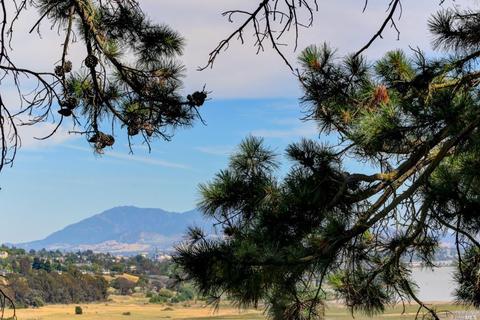 116 Wildflower Ave, Vallejo, CA 94591 photo 3