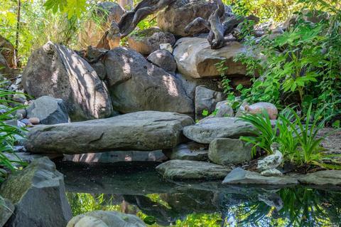 494 Westside Rd, Healdsburg, CA 95448 photo 33