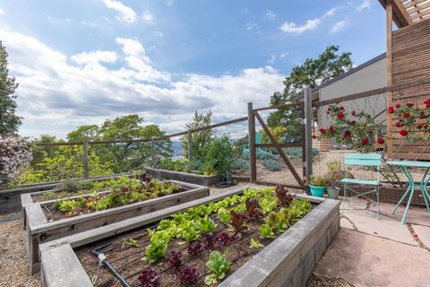 657 Montecito Blvd, Napa, CA 94559 photo 43