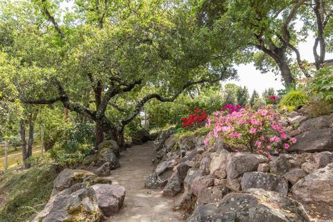 657 Montecito Blvd, Napa, CA 94559 photo 44