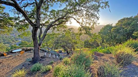 657 Montecito Blvd, Napa, CA 94559 photo 30