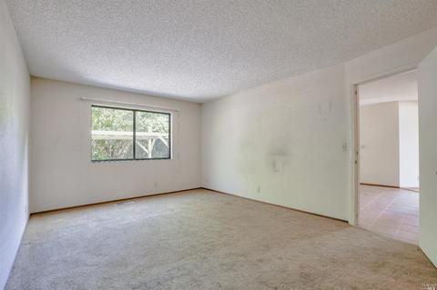 393 Pollard Way, Windsor, CA 95492 photo 27