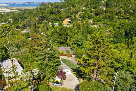 495 Corte Madera Ave, Corte Madera, CA 94925 photo 37