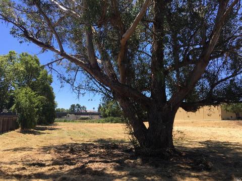 Undisclosed, Sonoma, CA 95476 photo 7