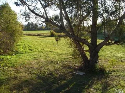 Undisclosed, Sonoma, CA 95476 photo 39