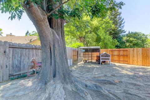 1895 Mistler Ct, Dixon, CA 95620 photo 27