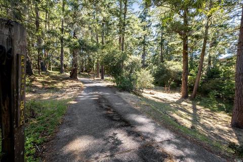 96 Alta Ave, Lagunitas, CA 94938 photo 49