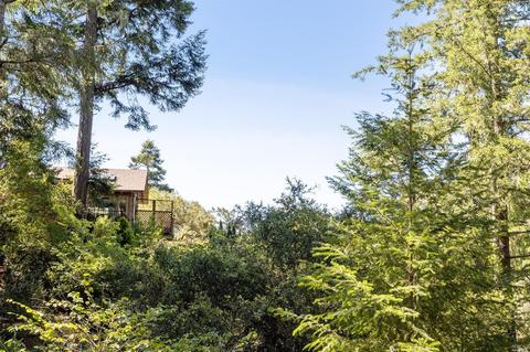 96 Alta Ave, Lagunitas, CA 94938 photo 14