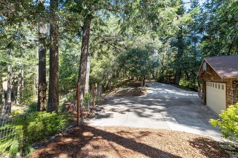 96 Alta Ave, Lagunitas, CA 94938 photo 48