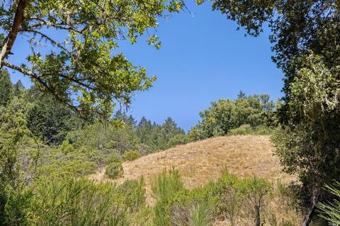 96 Alta Ave, Lagunitas, CA 94938 photo 41