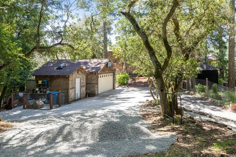 96 Alta Ave, Lagunitas, CA 94938 photo 43