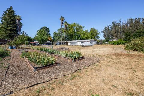 208 Eucalyptus Ave, Cotati, CA 94931 photo 19