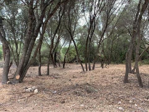 3254 6th St, Clearlake, CA 95422 photo 6