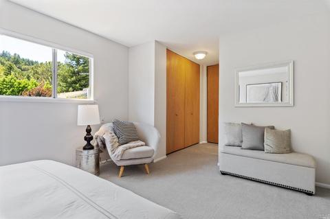 14 Shemran Ct, Fairfax, CA 94930 photo 27