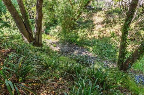 14 Shemran Ct, Fairfax, CA 94930 photo 23