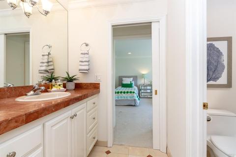 141 Locust Ave, Mill Valley, CA 94941 photo 26