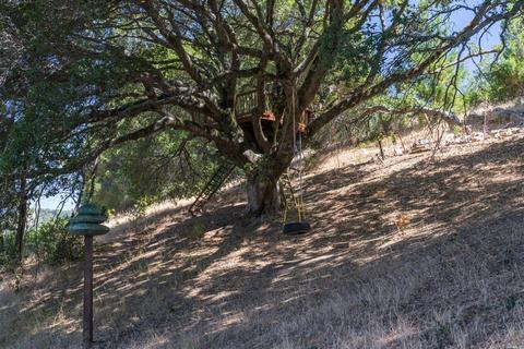 84 Irving Dr, San Anselmo, CA 94960 photo 28