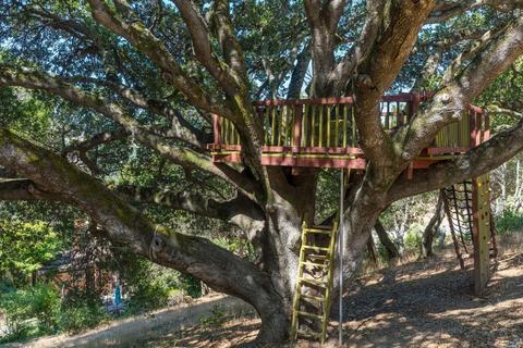84 Irving Dr, San Anselmo, CA 94960 photo 29