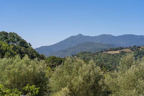 84 Irving Dr, San Anselmo, CA 94960 photo 32