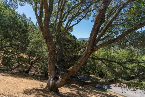 84 Irving Dr, San Anselmo, CA 94960 photo 36