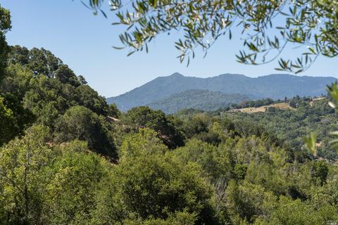 84 Irving Dr, San Anselmo, CA 94960 photo 35