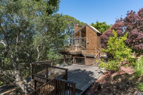84 Irving Dr, San Anselmo, CA 94960 photo 26