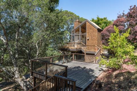 84 Irving Dr, San Anselmo, CA 94960 photo 30