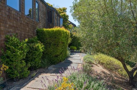 84 Irving Dr, San Anselmo, CA 94960 photo 34