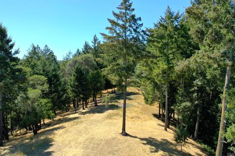 1285 Emerald Ranch Rd, Healdsburg, CA 95448 photo 12