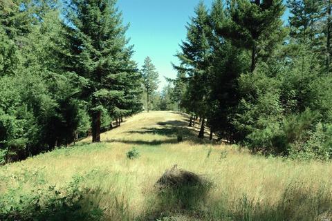 1285 Emerald Ranch Rd, Healdsburg, CA 95448 photo 17