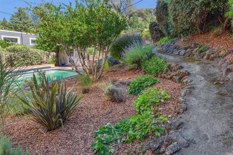 77 Cypress Dr, Fairfax, CA 94930 photo 18