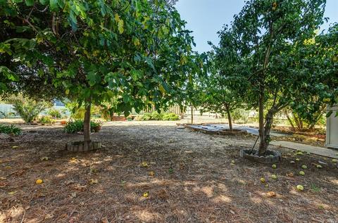 114 Menlo Ct, Vallejo, CA 94589 photo 28